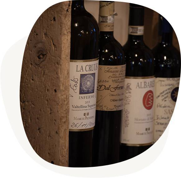 Vini pregiati del territorio